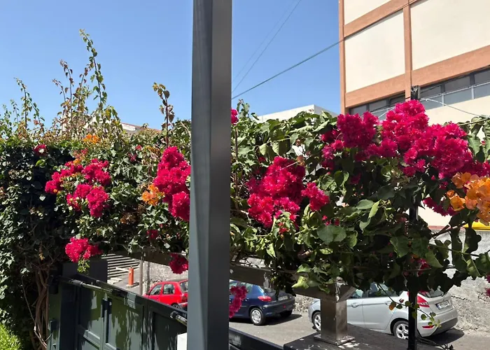 别墅 Quinta Paraiso *