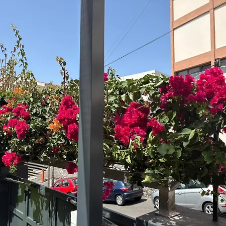 Villa Quinta Paraiso *